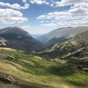 Meet your Posher, Eva